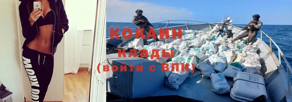 дмт Киреевск