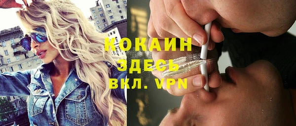 дмт Киреевск