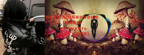 дмт Киреевск