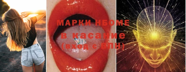дмт Киреевск