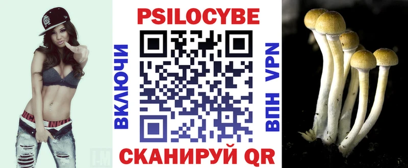 Галлюциногенные грибы Magic Shrooms  Купить  Нижневартовск 